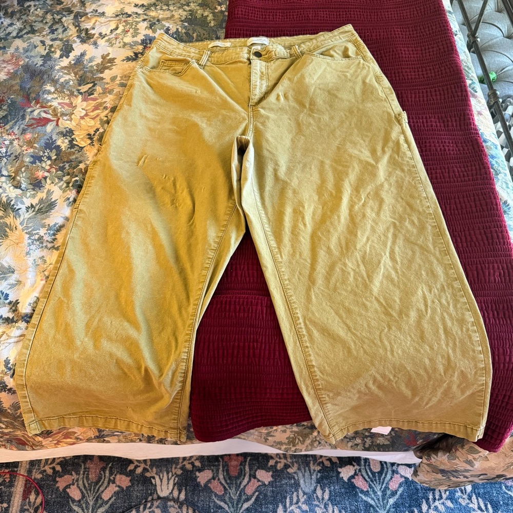 Target Universal Thread cargo pants